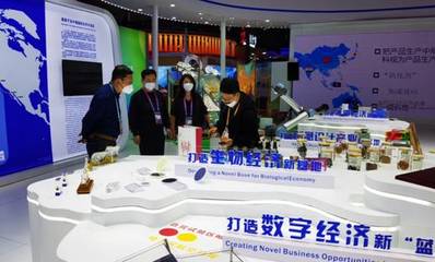 我校數(shù)字文化創(chuàng)意力作驚艷亮相第五屆進(jìn)博會，彰顯創(chuàng)意設(shè)計新高度