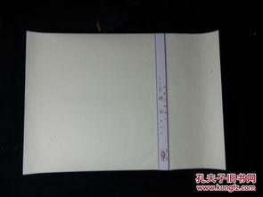 紙間歲月 九十年代甲級白連紙的修復(fù)藝術(shù)與多元應(yīng)用